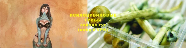 прущий лед Горнозаводск