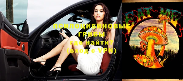 спайс Горняк